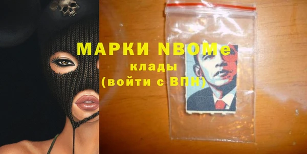 СК Алексин