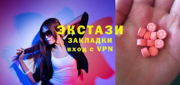 СК Алексин